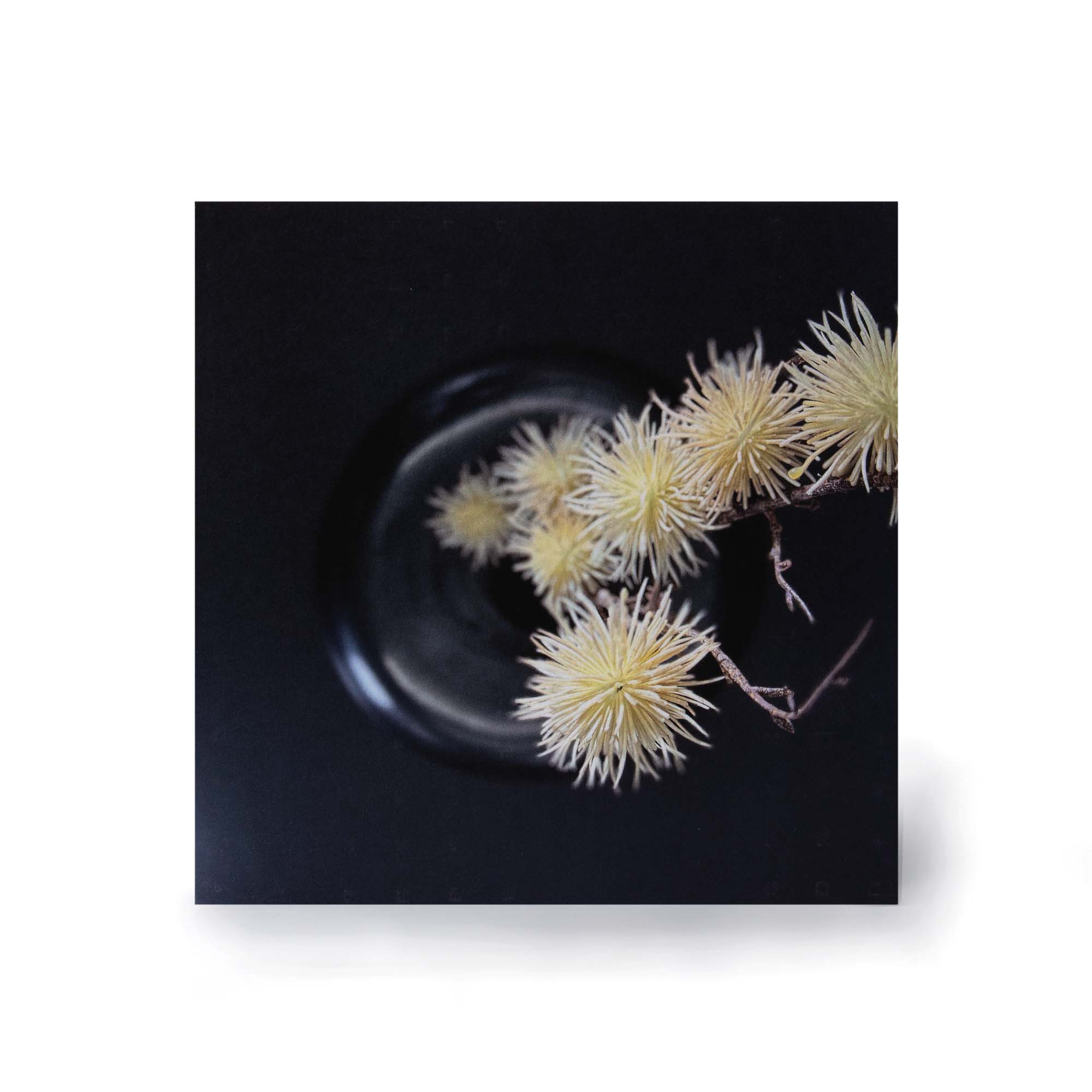 CARD CERAMIC OBJECT VASE LONGNECK